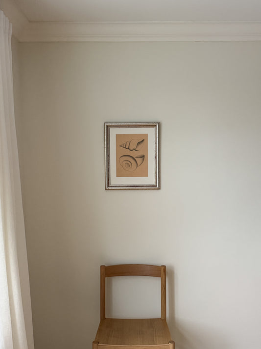 Blyertsskiss snäckor