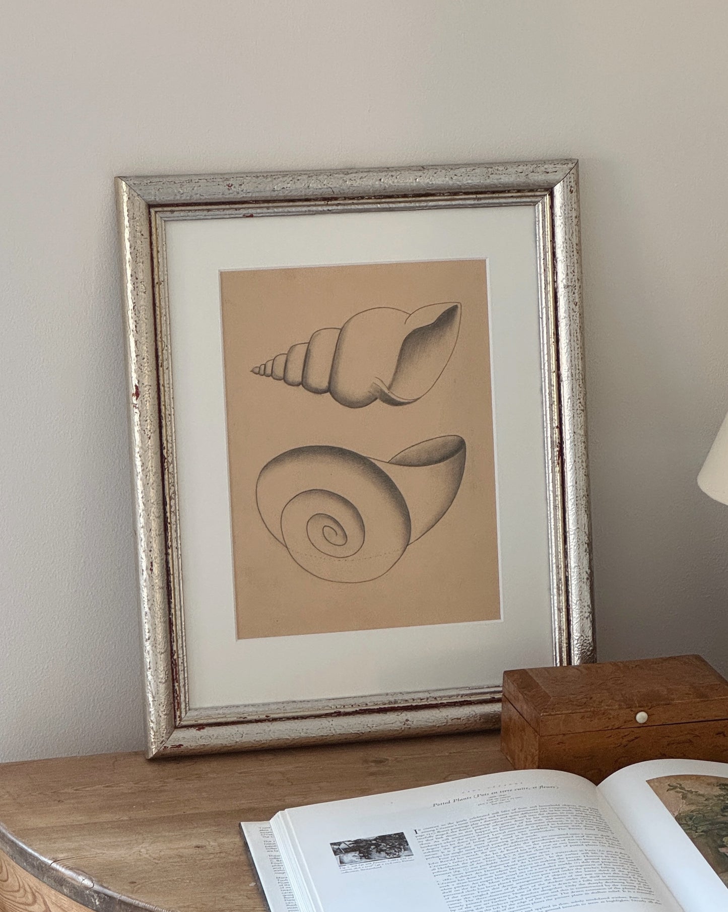 Shell study